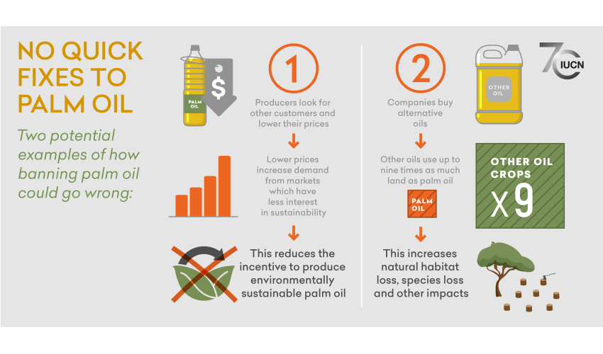Sustainably Produced Palm Oil Helps To Protect The Environment sustainably-produced-palm-oil-helps-to-protect-the-environment