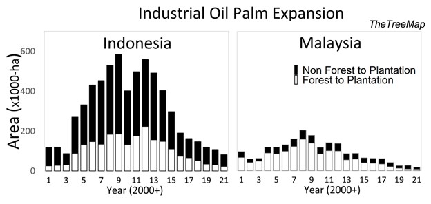 Is There More to Palm Oil Than Deforestation?