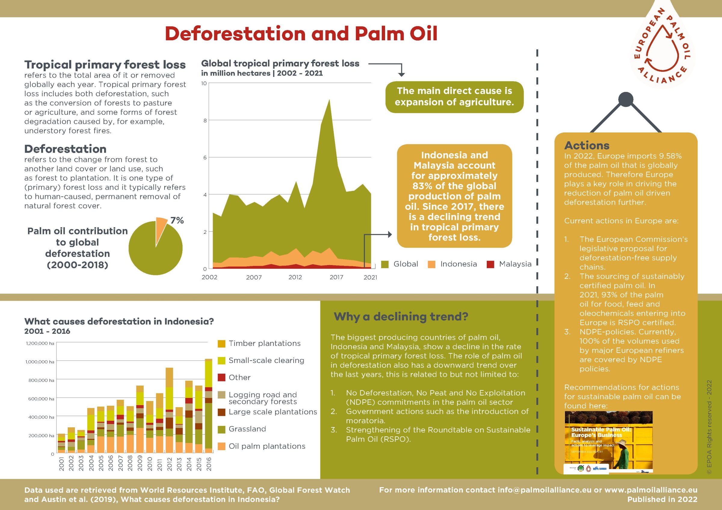 Palm Oil in Indonesia: Environmental and Social Aspects