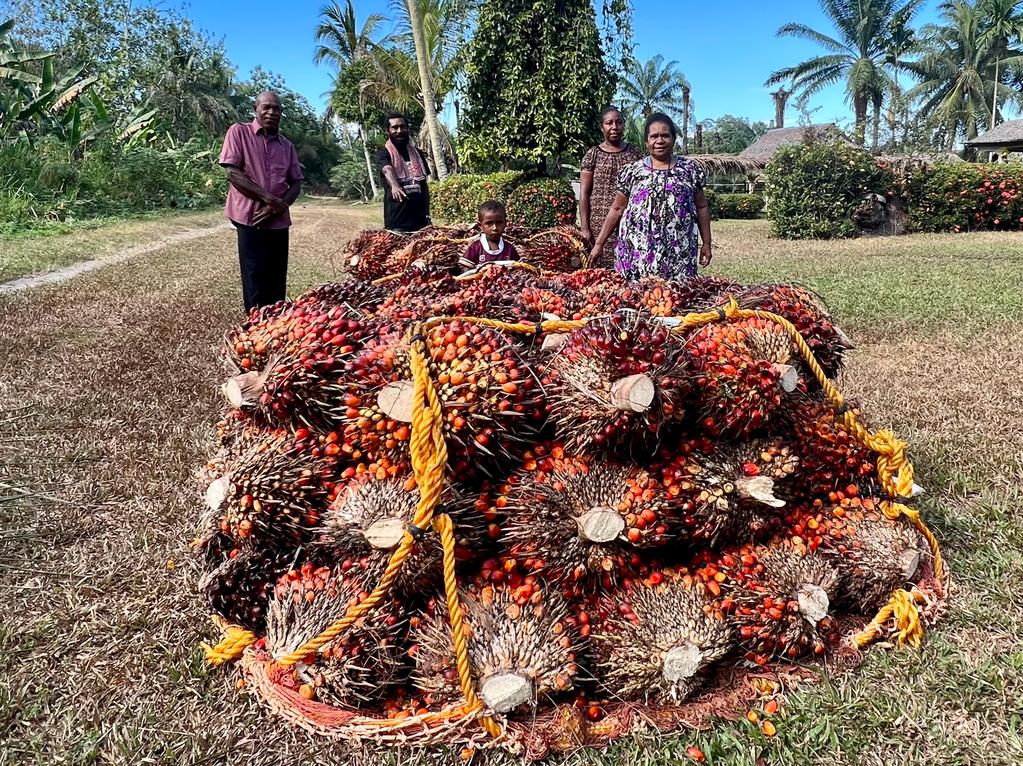 Oil palm farmers in PNG